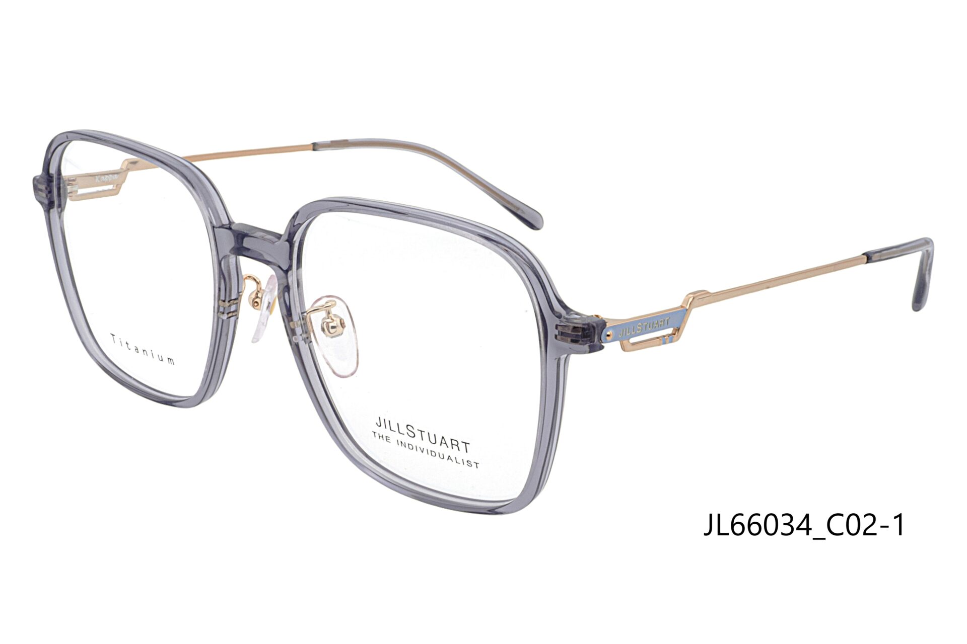 jl66034 c02 1 scaled